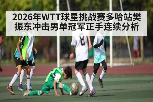 2026年WTT球星挑战赛多哈站樊振东冲击男单冠军正手连续分析